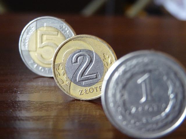Pagare in Polonia, meglio Euro o Złoty?