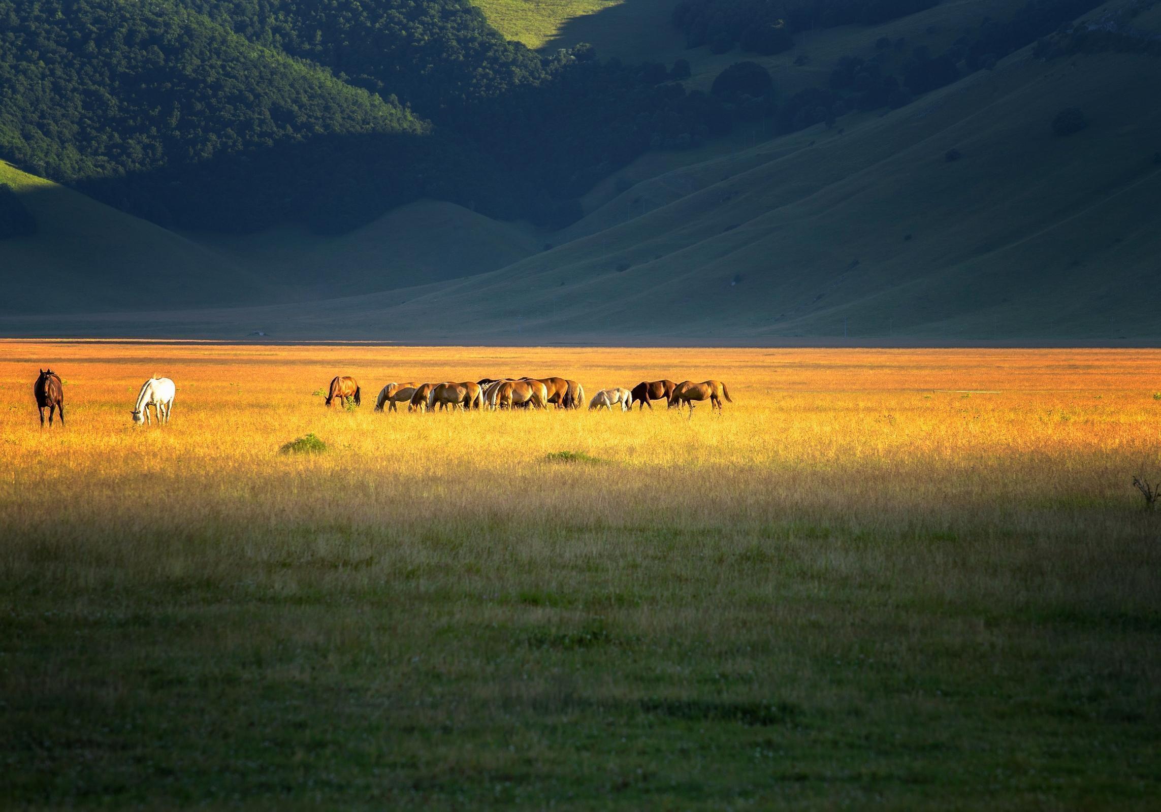 Castelluccio Norcia Umbria